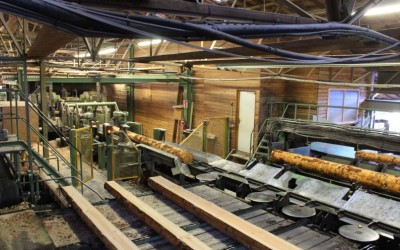 Mecafluides Etancheité est au service des scieries et de l'industrie du bois à Bordeaux en Gironde et l'Aquitaine